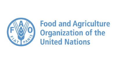 Food and Agriculture Organization staff positions