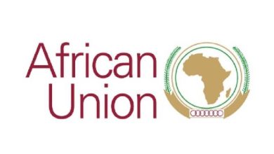 african union jobs