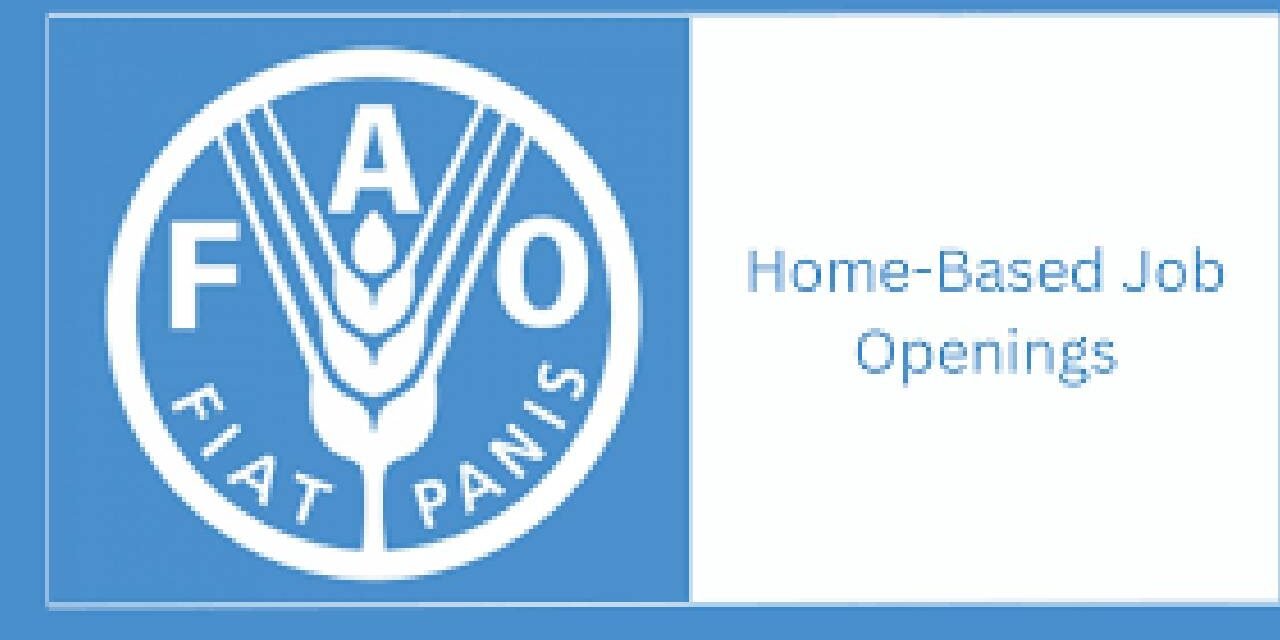 13 Home based Job opportunities at FAO : Open vacancies/Online application