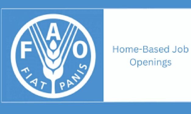 13 Home based Job opportunities at FAO : Open vacancies/Online application