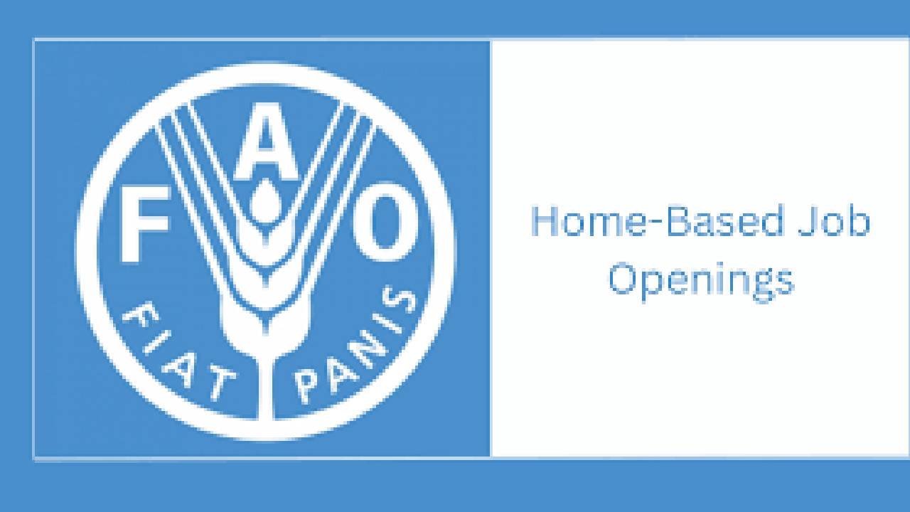 13 Home based Job opportunities at FAO : Open vacancies/Online application