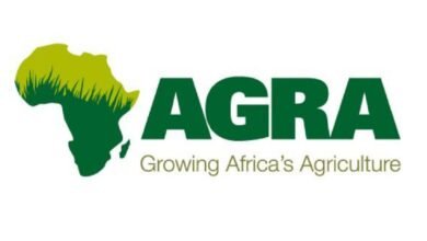 Alliance for a Green Revolution in Africa (AGRA) is hiring : 2 Open Positions - Apply Before 18 July 2025