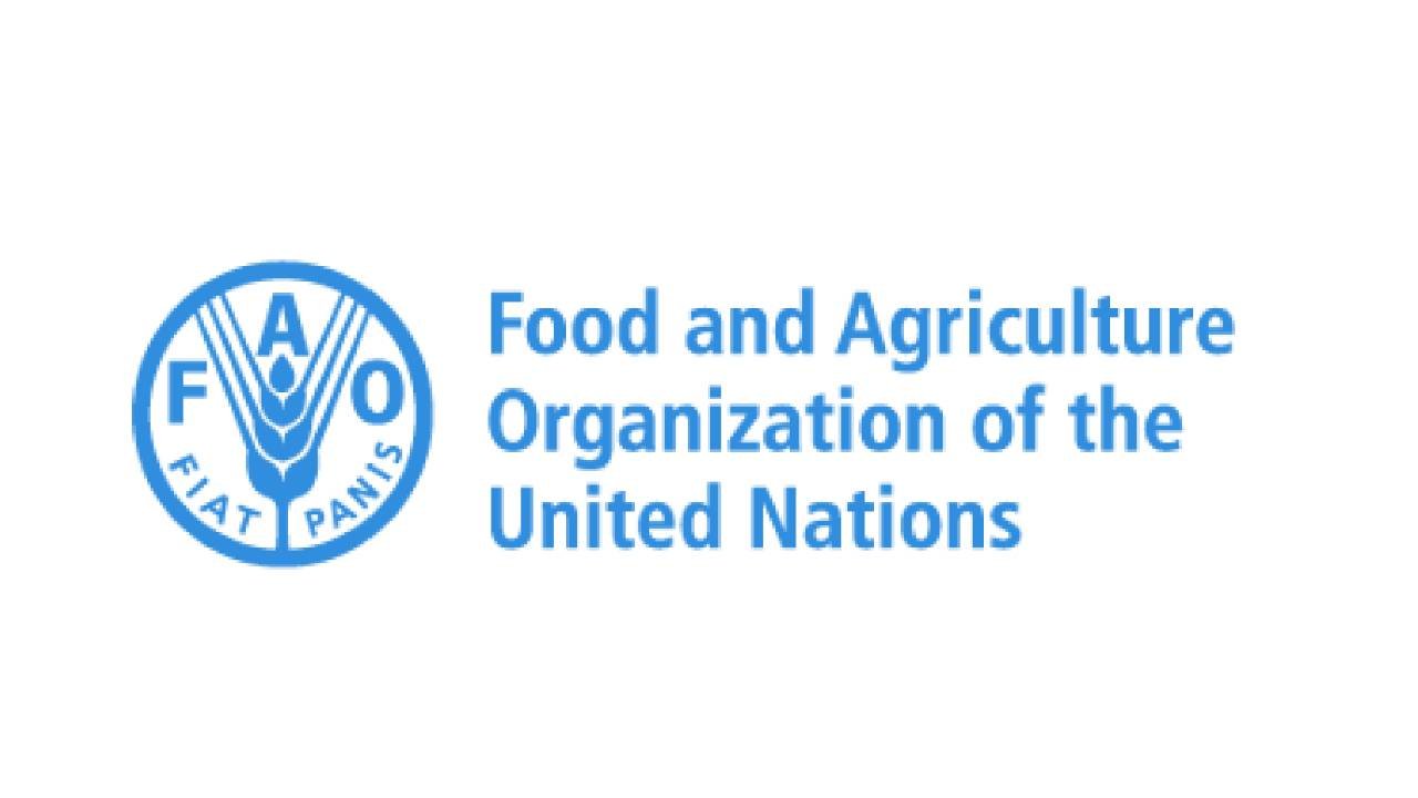 FAO Now Hiring: Explore Diverse Roles at The Food and Agriculture Organization of the United Nations (FAO)