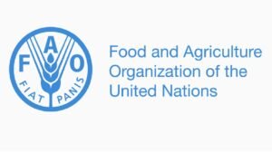 Fao jobs