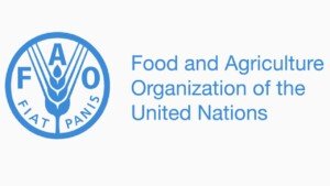 Fao recruitment