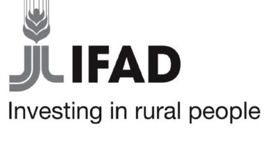 IFA is Seeking a Temporary Professional Officer