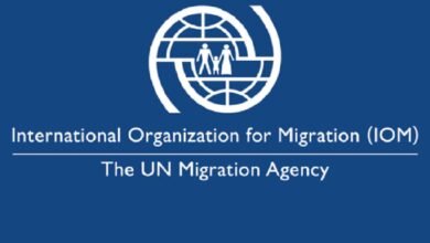 IOM jobs now