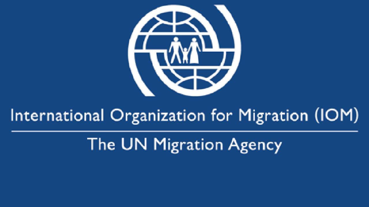 IOM jobs now
