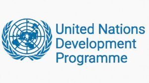 UNDP Digital Transformation Internship 2025