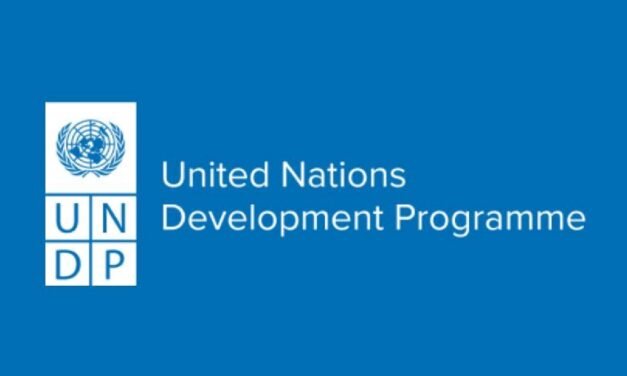 UNDP vacancies & Recruitment ( July 2025) : Explore open Jobs/ Vacancies