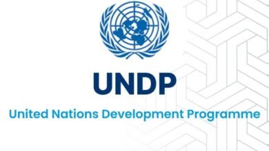 UNDP jobs july 2025
