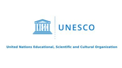UNESCO Call for applications : Individual Consultants for the Teachers Area at OREALC/UNESCO SANTIAGO