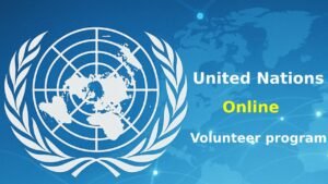 UNV online volunteer program