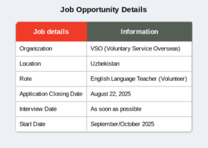 VSO hiring teachers