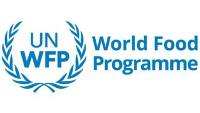 World Food Programme (WFP) jobs